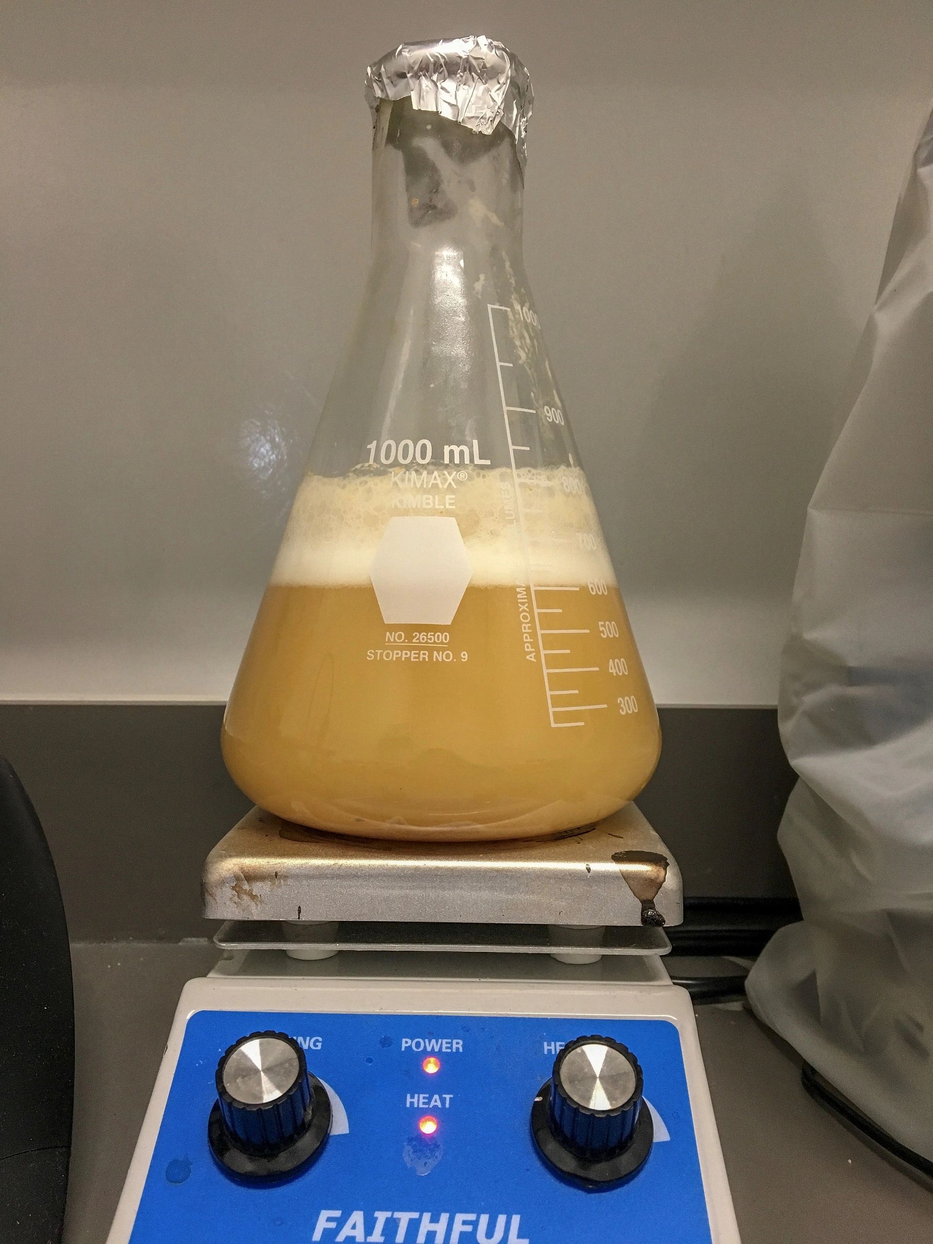 Forced Fermentation Test How To Perform One And Why